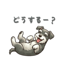 kumaa_20260413233113