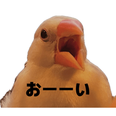 Schwarz_20260413233533