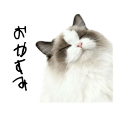 meiii_20260413233906