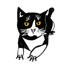 我是小葵是隻小貓咪