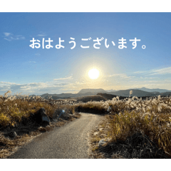 kotono yamauchi_20260414000208