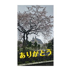 macrossVF25_20260414000613