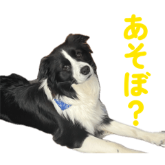 sakusakupanda_20260413235452