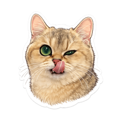 Chomyong The Cat_20260413132338