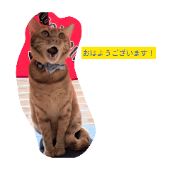 riku&joe_20260414003709