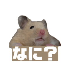 MIMIZAMURAI_20260414004953