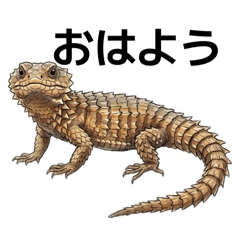 great  blue_20260414005537