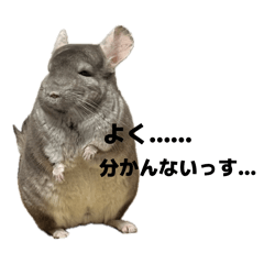 CyaRu_20260414010906