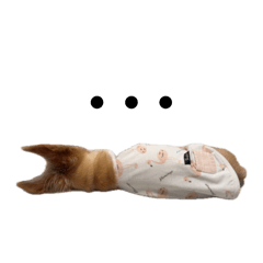 monyo_20260414011117