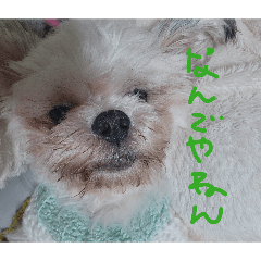 mikiti_20260414075935