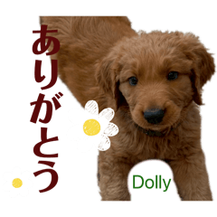 NOZOMI_20260414095854