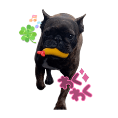 rina_202604141024078