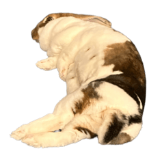 akira_20260413195530