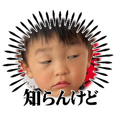 t_20260414054005