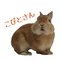 tomomi_20260414090654