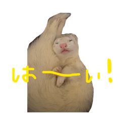eme_20260413132950