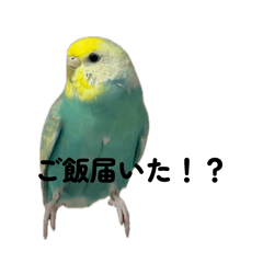 tsukune_20260414110355