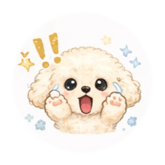 anime-style toy poodle