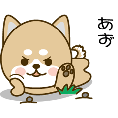 Shiba inu Sticker 046