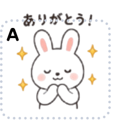 cute rabbitbunny