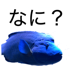 tougtta_20260414074045