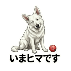 HANABI_20260414021342