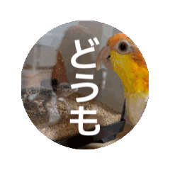 NYANKO_20260414135956