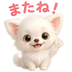 Long-haired Chihuahua stickers2