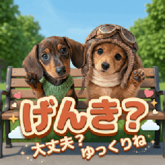 Spring is Here! Jumping Dachshunds