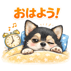 chiwasiba_20260413173414