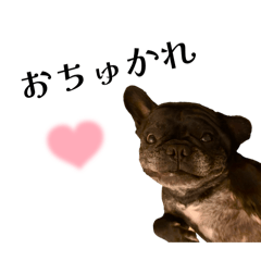 usagummi_20260413173800