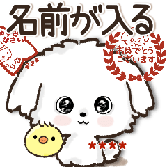 DogCat*^*^stickers_2026,0413