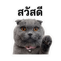 KANVORA_20260413201923