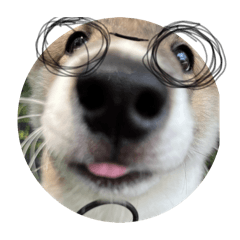 Rei_20260413233952