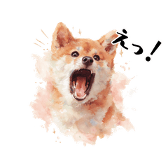 siba inu says politely