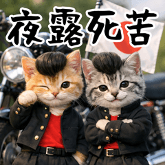 とびだす★ヤンキーにゃんこ★不良 猫 ねこ