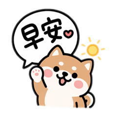 popola_20260414001849