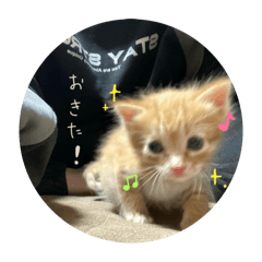 monaca_20260410021500