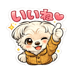 fummy_20260410120809