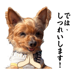 berry_20260410050154