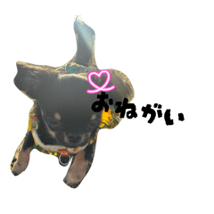 loa_20260413223942