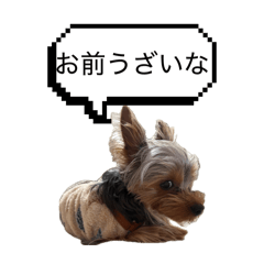 R_20260414001955