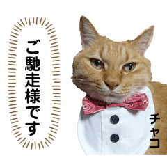 Mizunyan_20260410142832