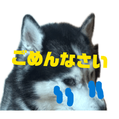 ryuuuuu_20260414002603