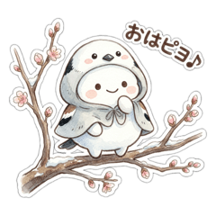 mokomaru_20260410051238