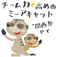 Meerkats with strong teamwork -in Kansai