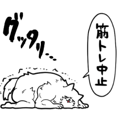 macho dog with no motivation