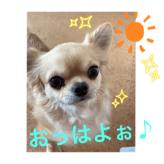 Hanamaru_20260413223849