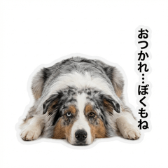 Aussie Honne 2 - Greetings