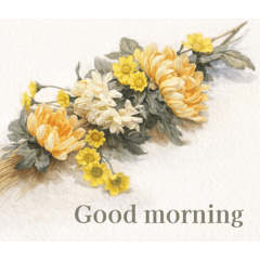 Tom Studio_20260414001814